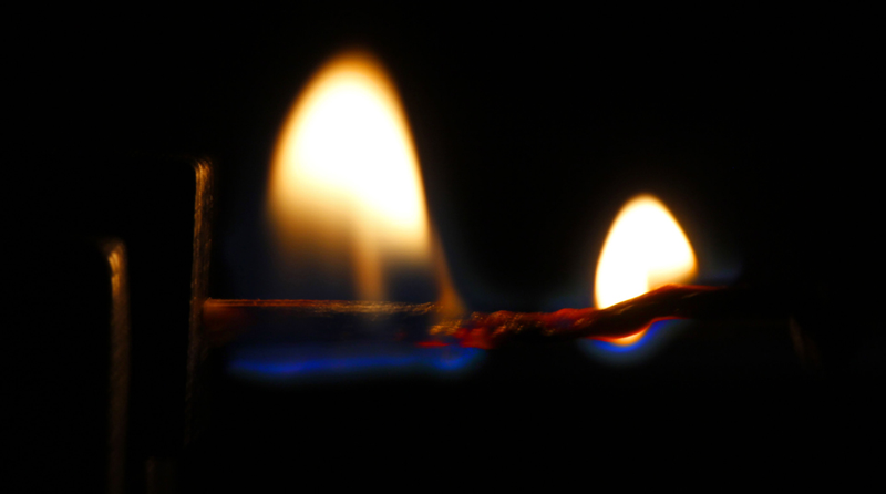 Illustration for article titled Shooting Challenge: Bokeh, Gallery 3